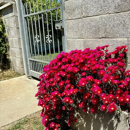 Tra Campagna E Mare